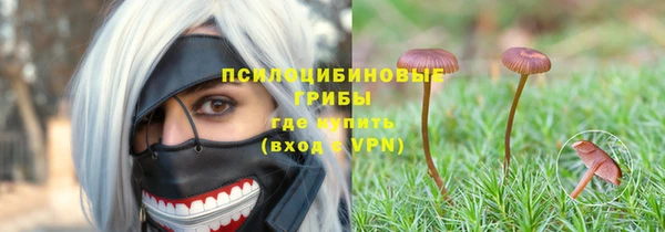 сатива Нефтегорск