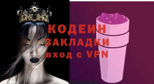 твердый Новозыбков