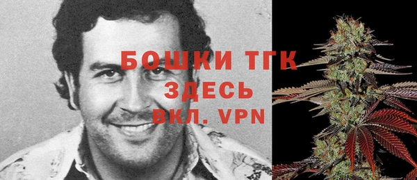 spice Новодвинск