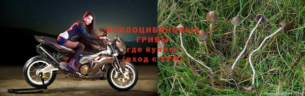прущая мука Новокубанск