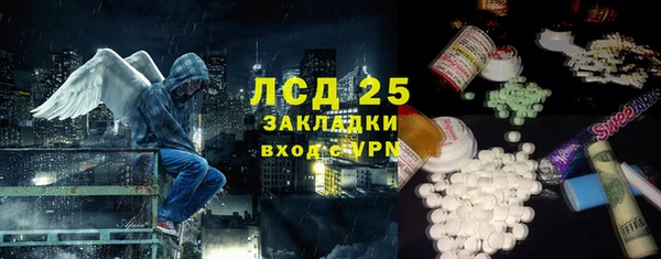 твердый Новозыбков