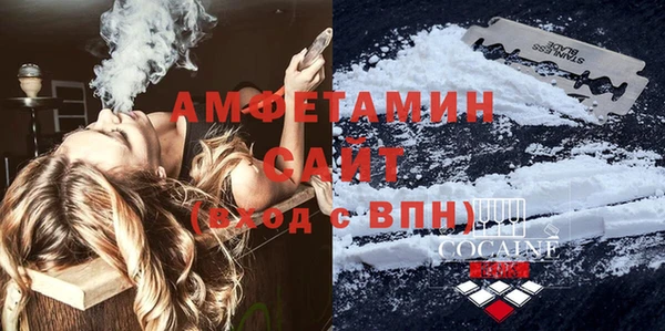твердый Новозыбков