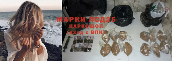 СК Нефтекумск